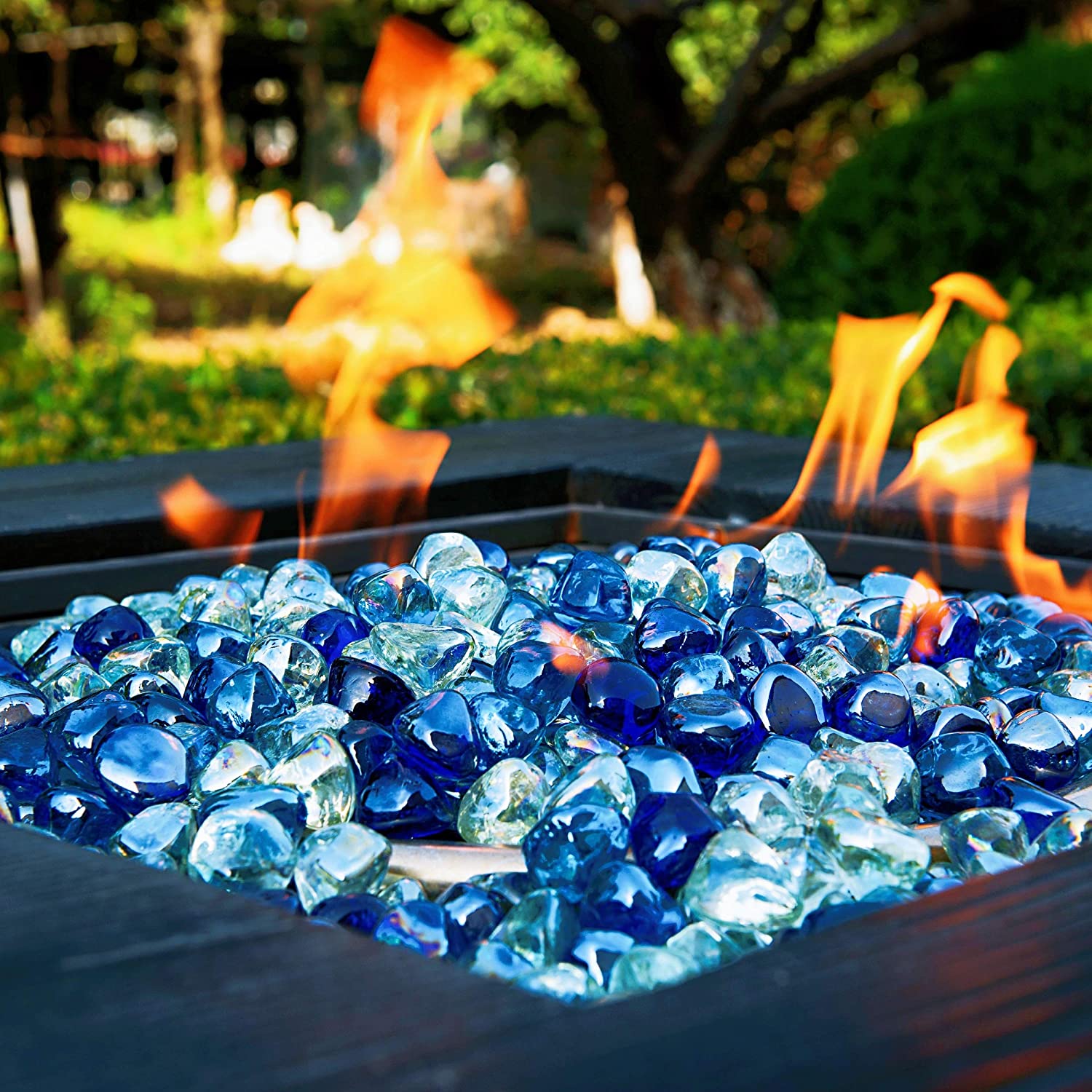 Chilli Cosmos Fire Glass