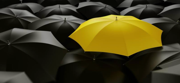 Origins of Originality