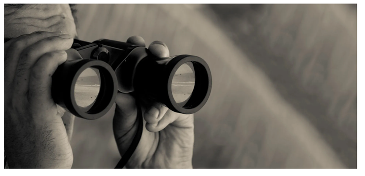 Point-of-View vs.Taking Sides