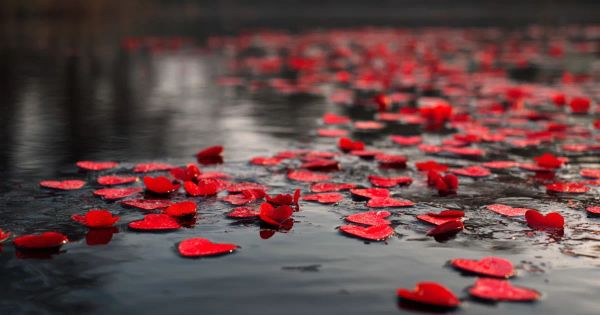 red hearts floating in a stream