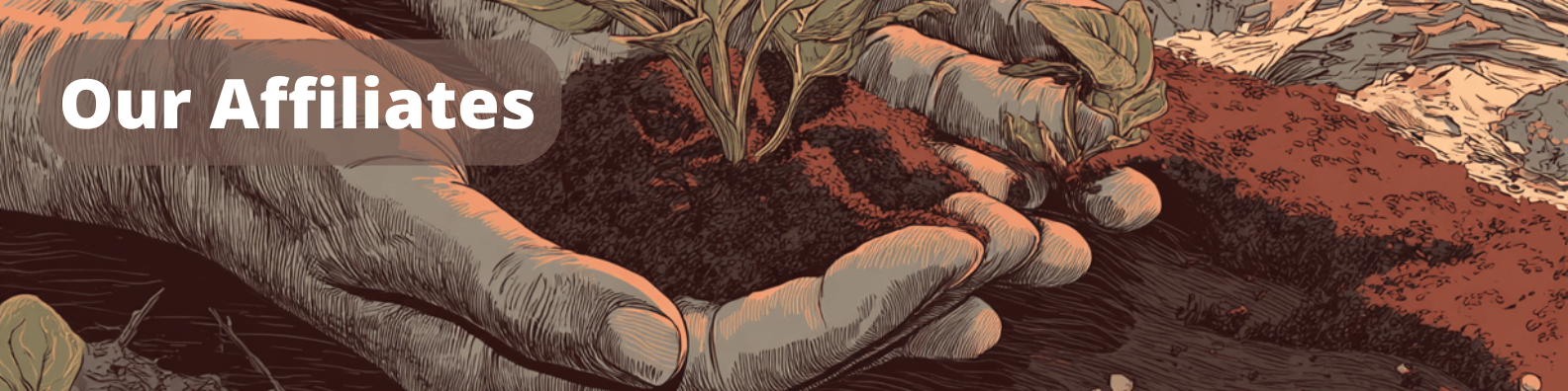 Our Affiliates - image of hands planting a seedling