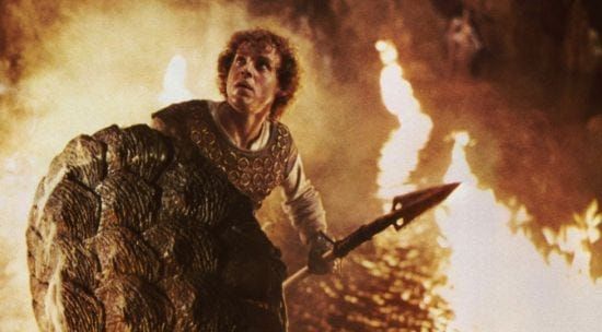 Scrum Master dragon slayer.