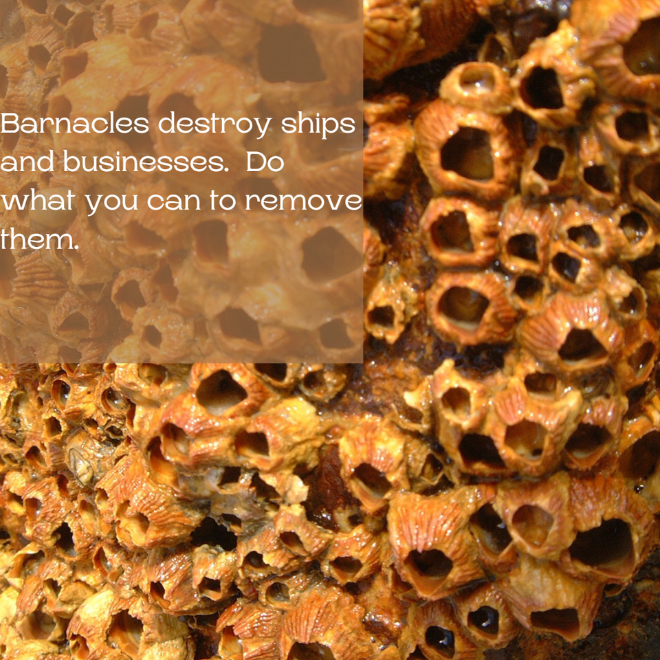 Management in the digital age.