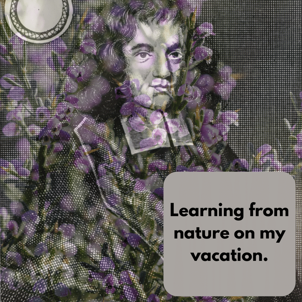 Coming back from Vacation.