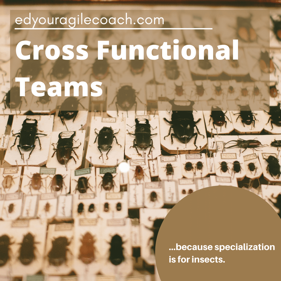 Organize development teams to deliver value.