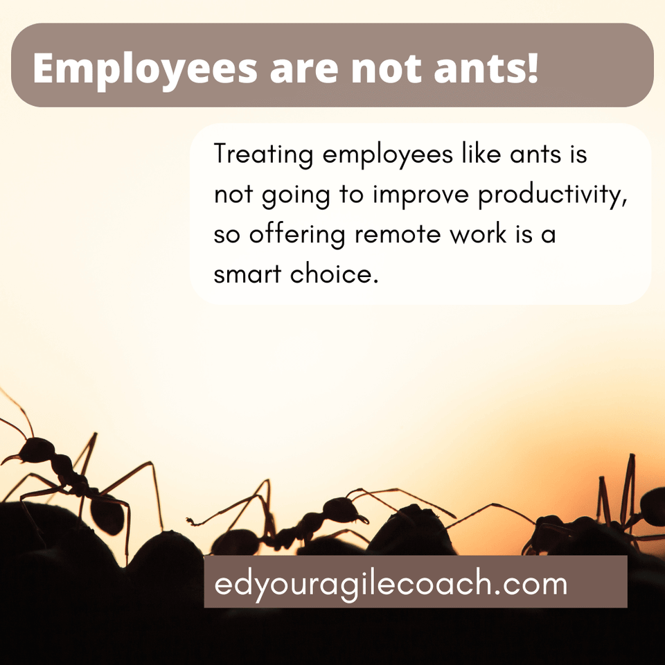 Remote Work is Worth It.