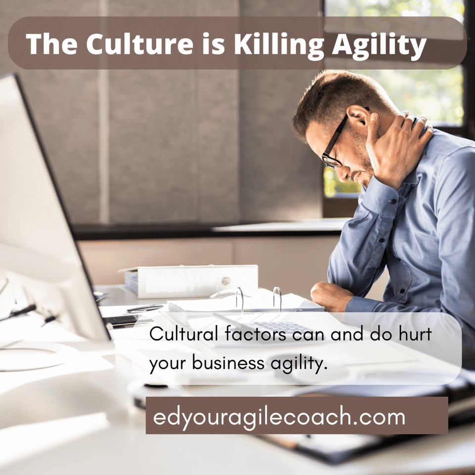 Cultural Forces in your business hurting agility.
