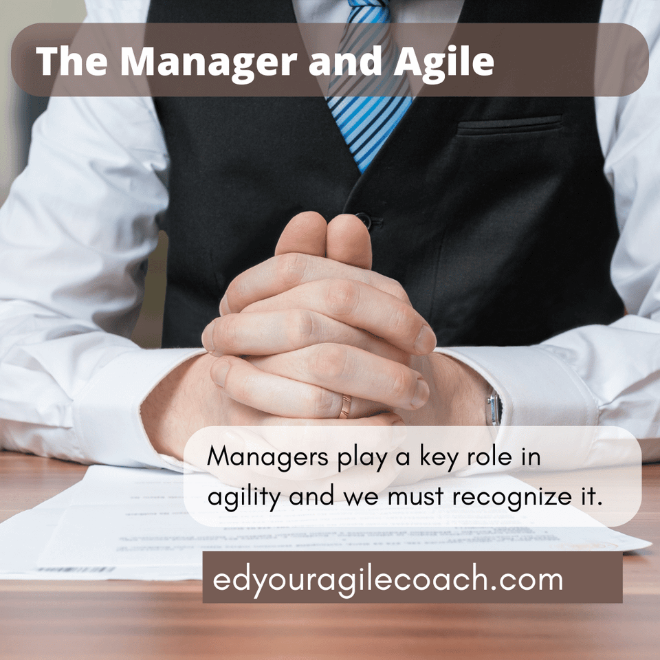 A Place for the Manager in the Agile Organization.