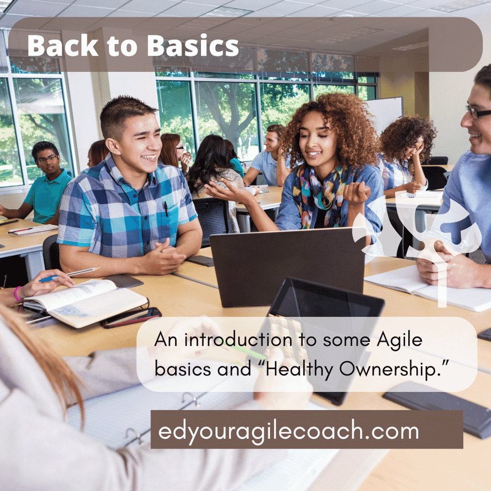 From the Basics to Healthy Ownership.
