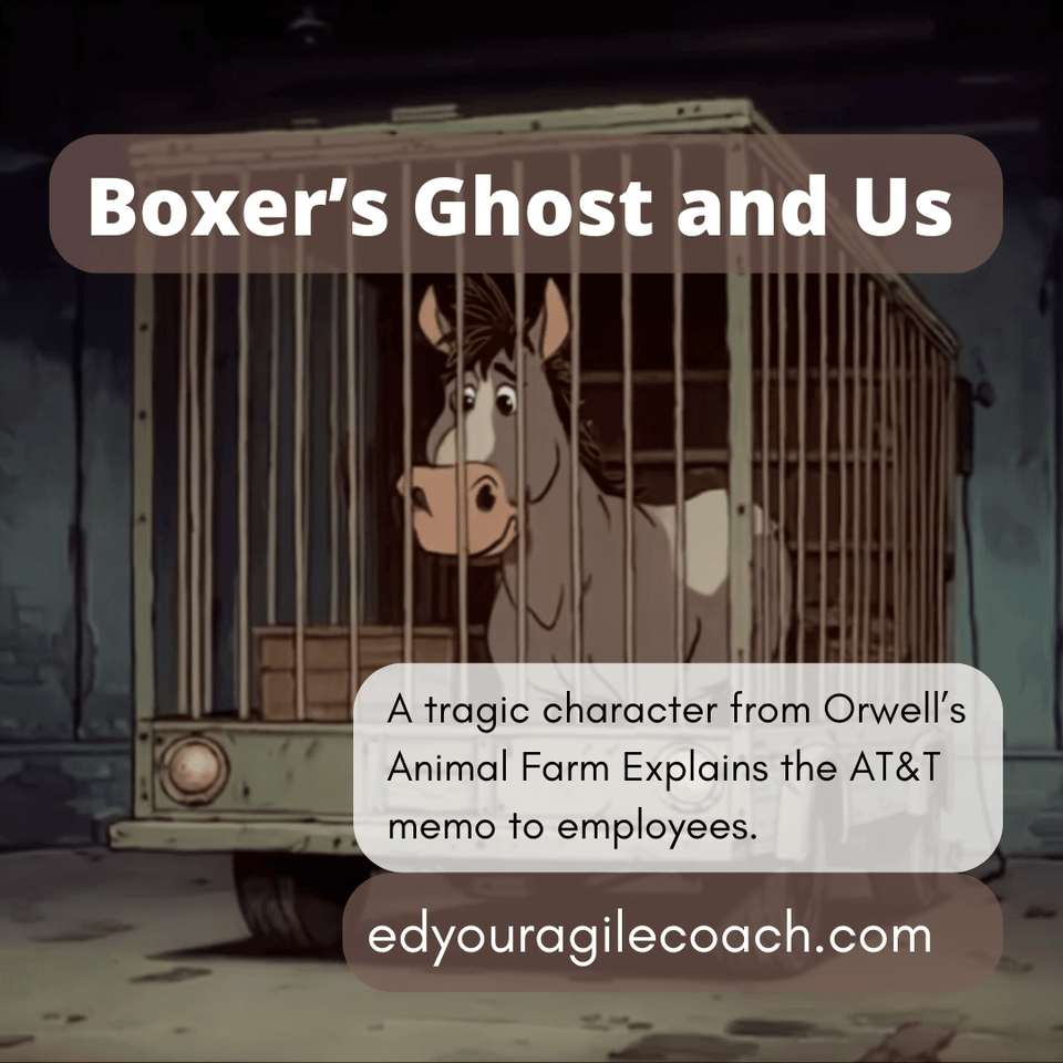 Boxer's Ghost Haunts the Boardroom