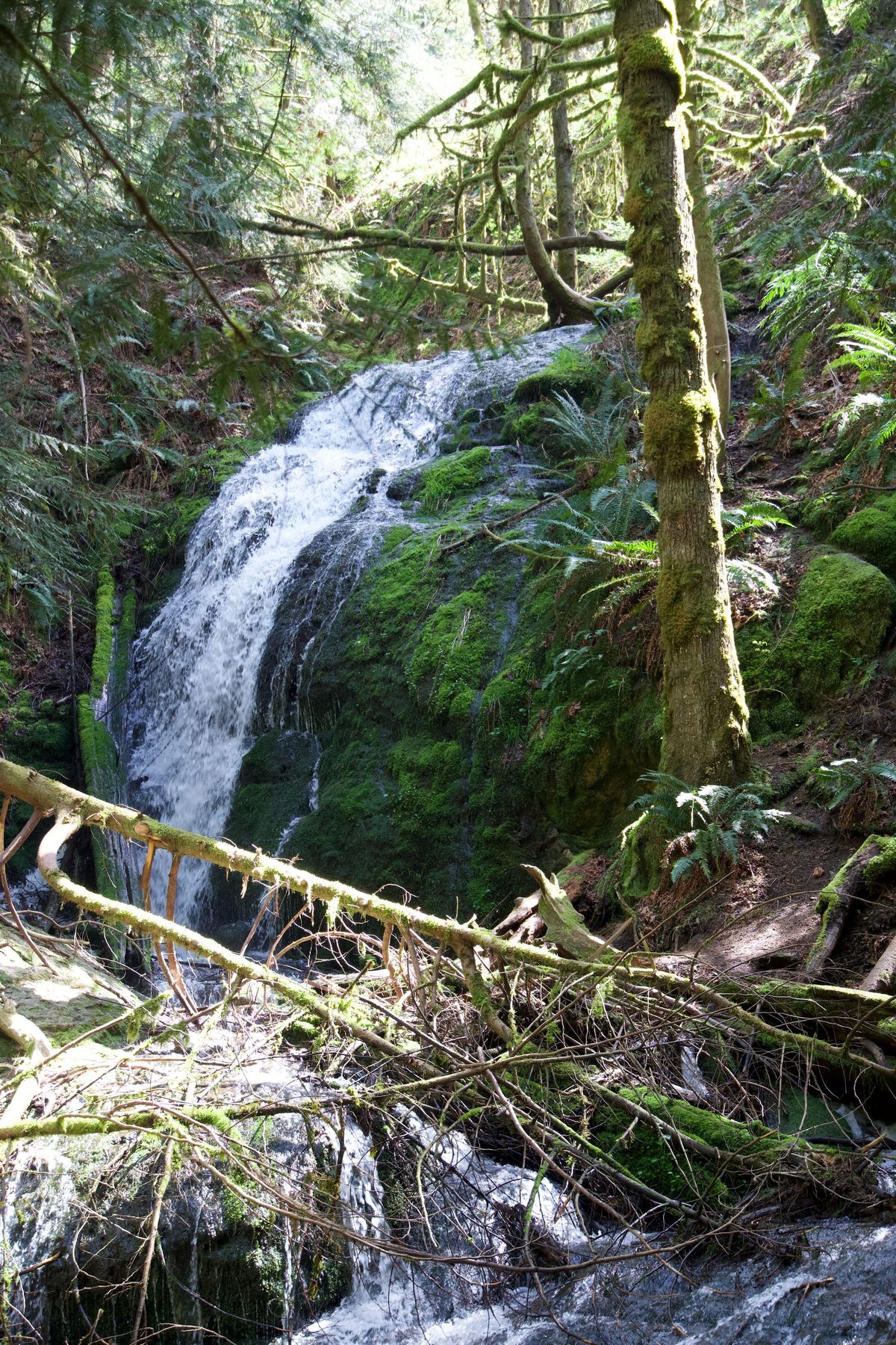 Coal Creek Falls – Bellevue