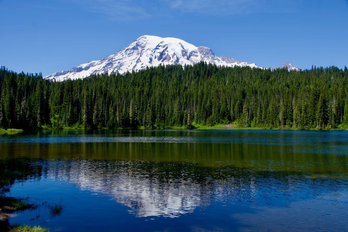 Mount Rainier National Park – A Scenic Drive Across the Park
