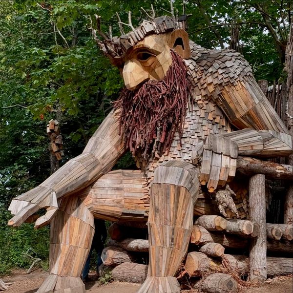 Oscar the Bird King – Vashon Island