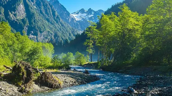 Exploring Olympic National Park – Washington