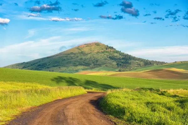 Steptoe Butte State Park – Colfax