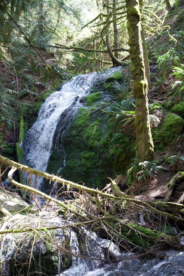 Coal Creek Falls – Bellevue