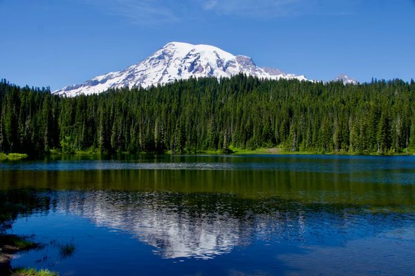 Mount Rainier National Park – A Scenic Drive Across the Park