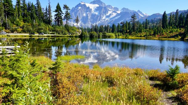 Mount Baker — Scenic Route 9 to Artist Point and Home Again