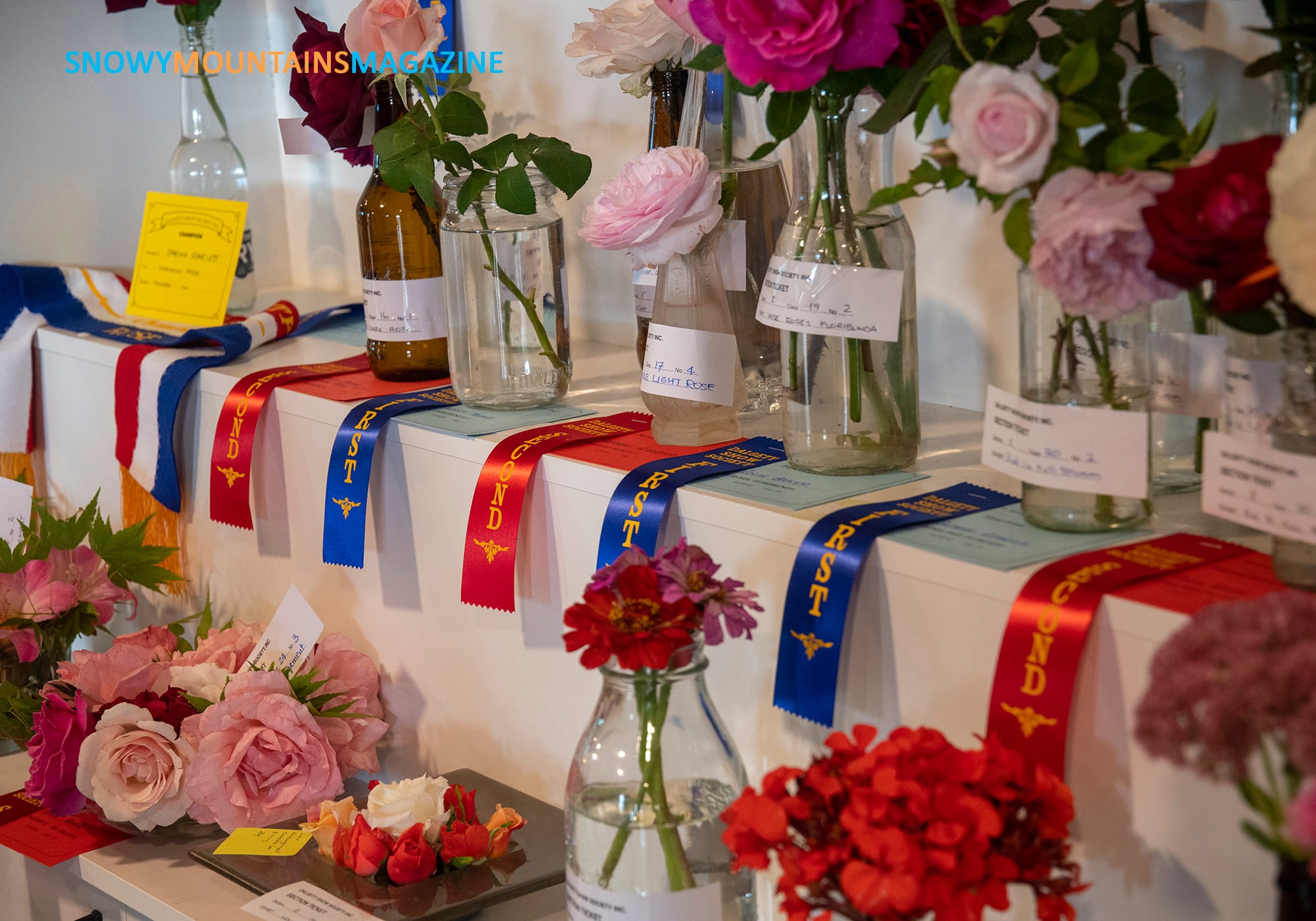 Ribbons and awards for the flower section.