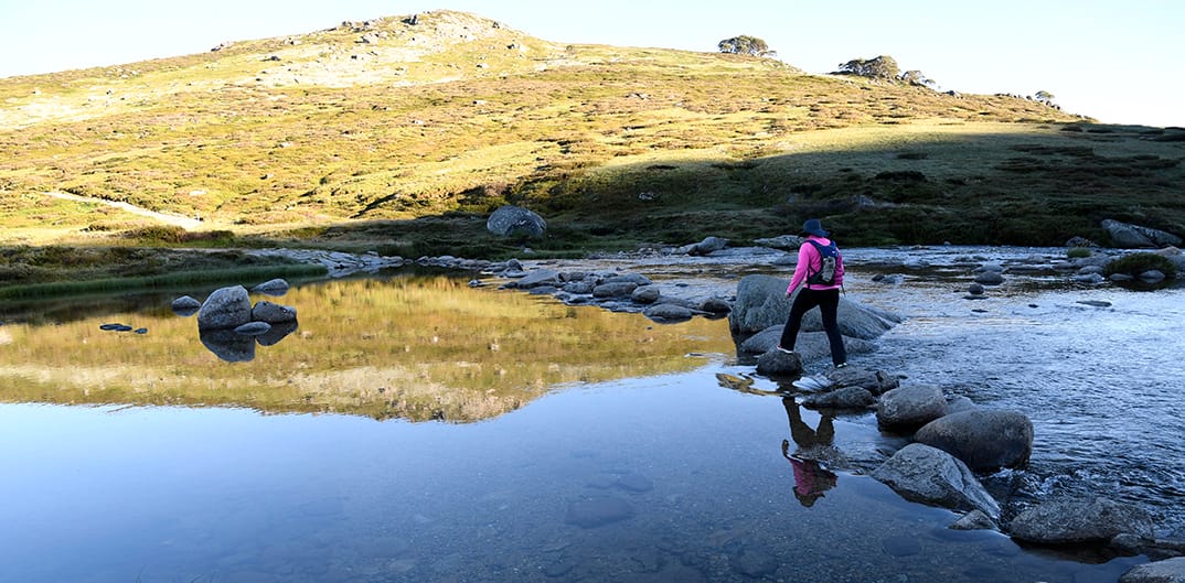 Crossing the stepping stones of the Snowy River