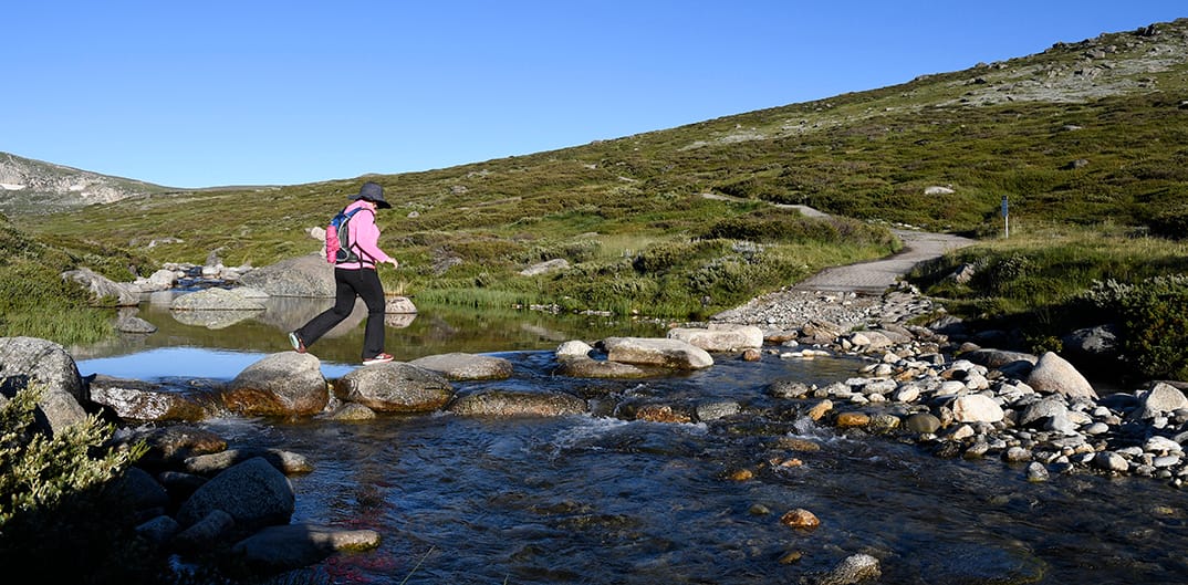 Crossing the Snowy River.