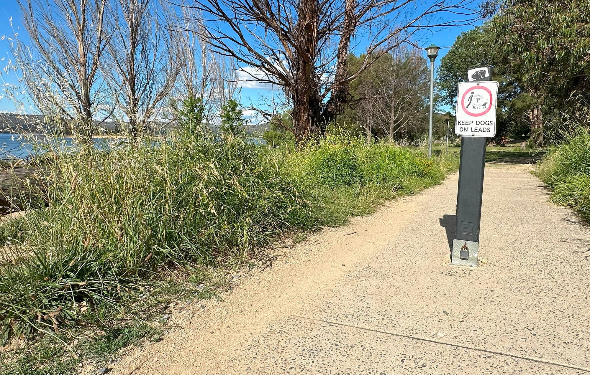 No care shown here for a long time.