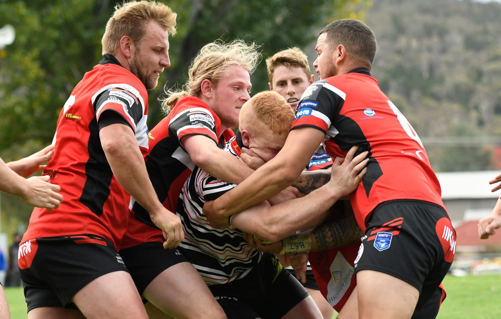 The Bears with a smothering defence.