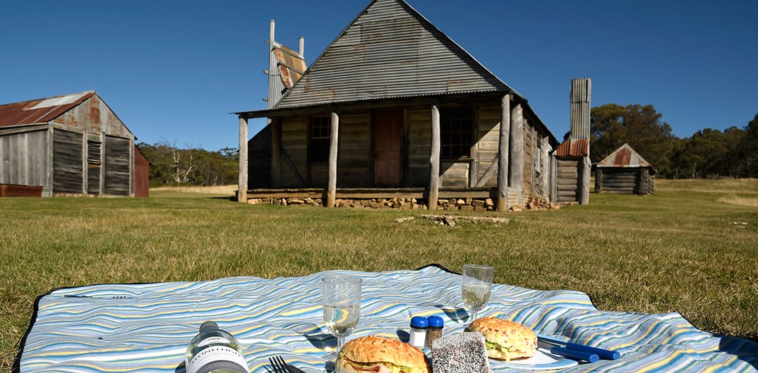 Picnic at Coolamine Homestead