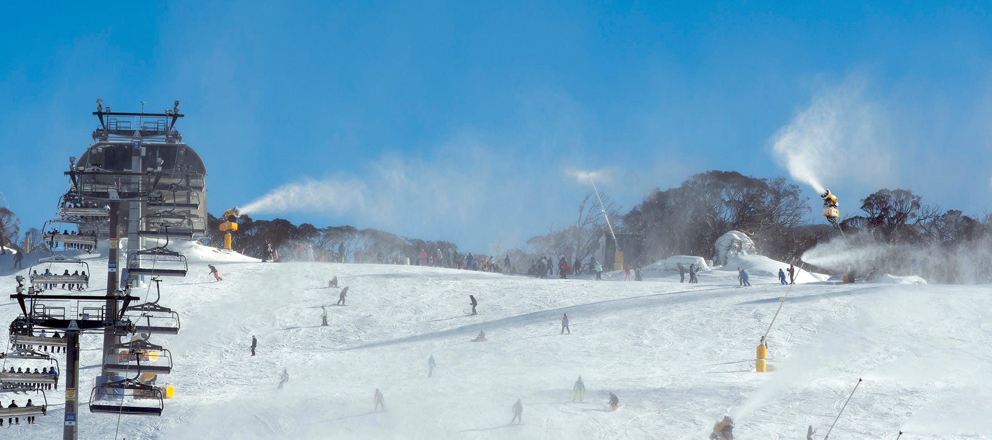 use this photo, a bit lighter