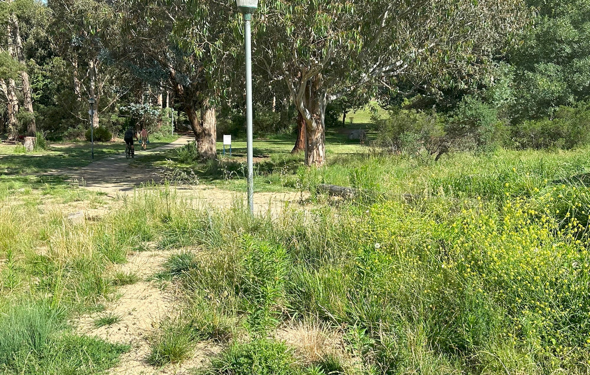 This area is adjacent to the foreshore path, and a disgrace.