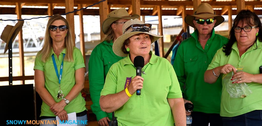 Huge 77th Dalgety Show Post feature image