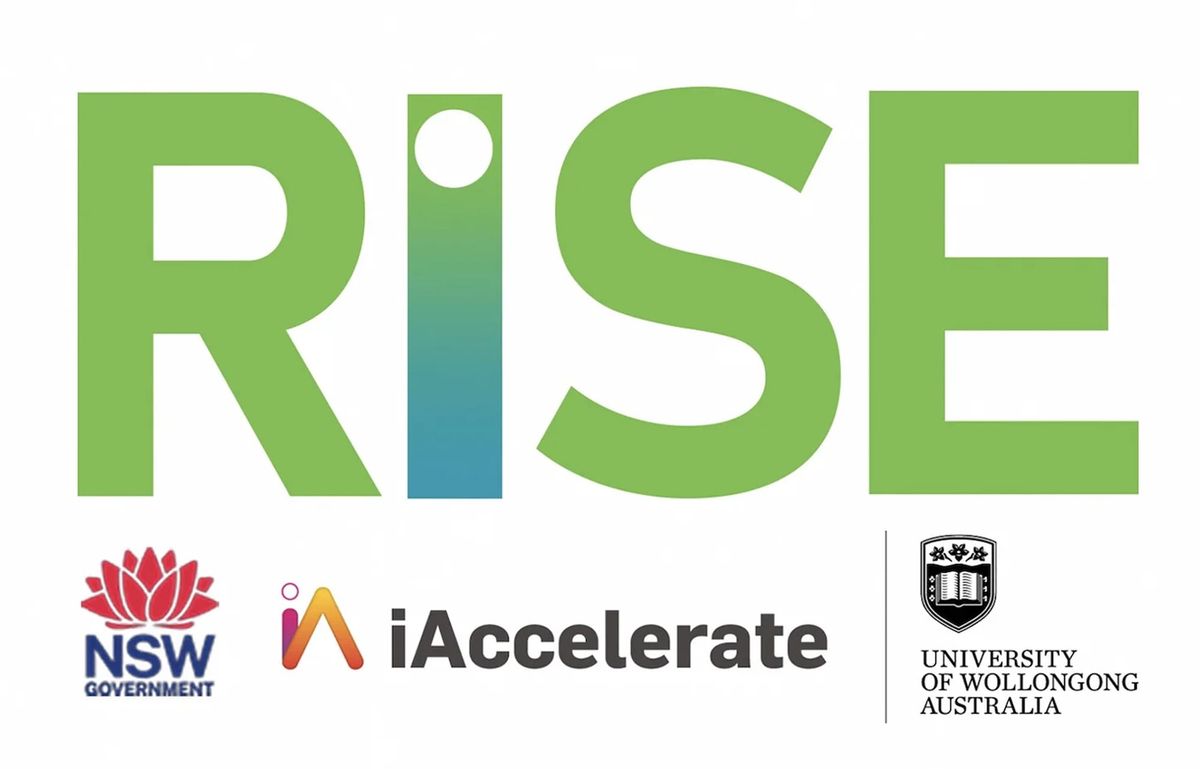 Accelerate Your Business - Grow Your Impact with iAccelerate Rise Program Post feature image