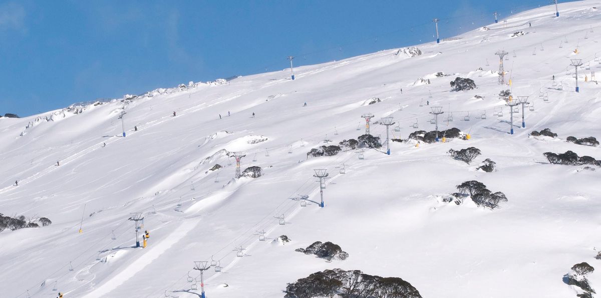 Perisher - Peter Brulisauer Interview Post feature image