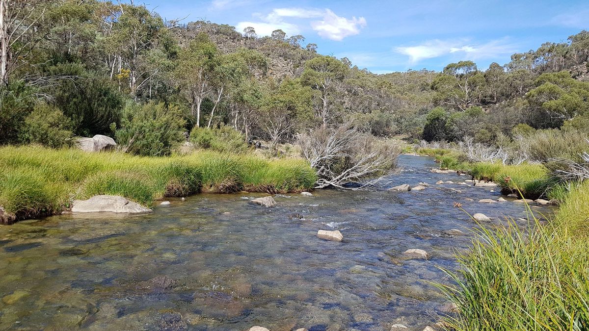 Snowy Water Licence Public Exhibition Post feature image