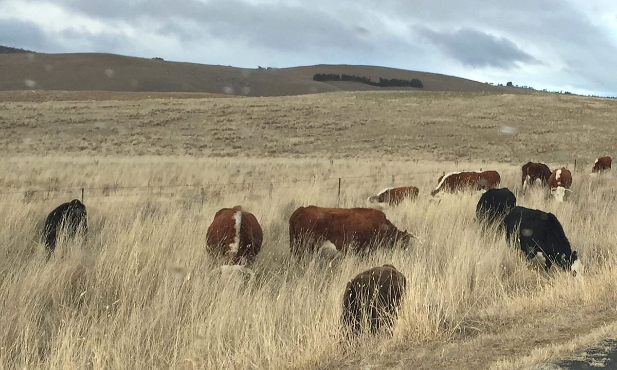 Support Farmers Right to Farm Post feature image