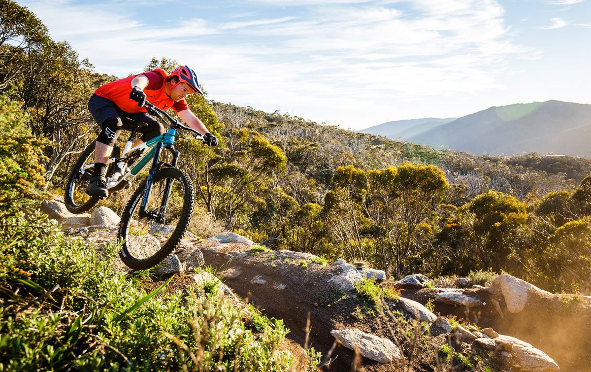 Thredbo mountain bike season pass Post feature image