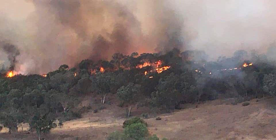 Janaury 12 Bushfire Update Post feature image