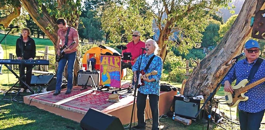 Easter Friday Wildbrumby Post feature image