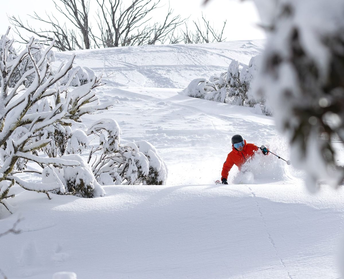 Thredbo To Dead Horse Gap Tour Post feature image
