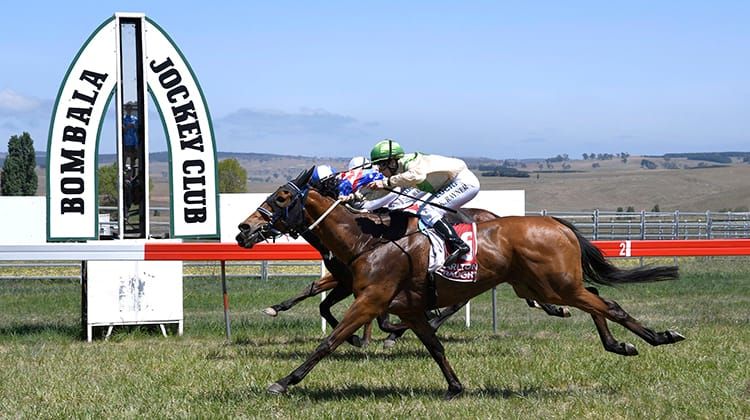 Bombala Races Post feature image