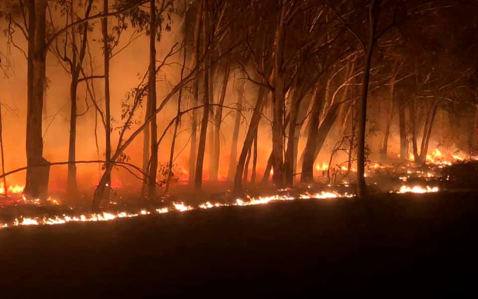 Adaminaby - Bombala Meetings Today Post feature image