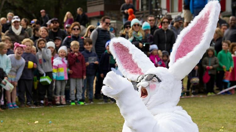 Easter Thredbo Adventure Cranival Post feature image