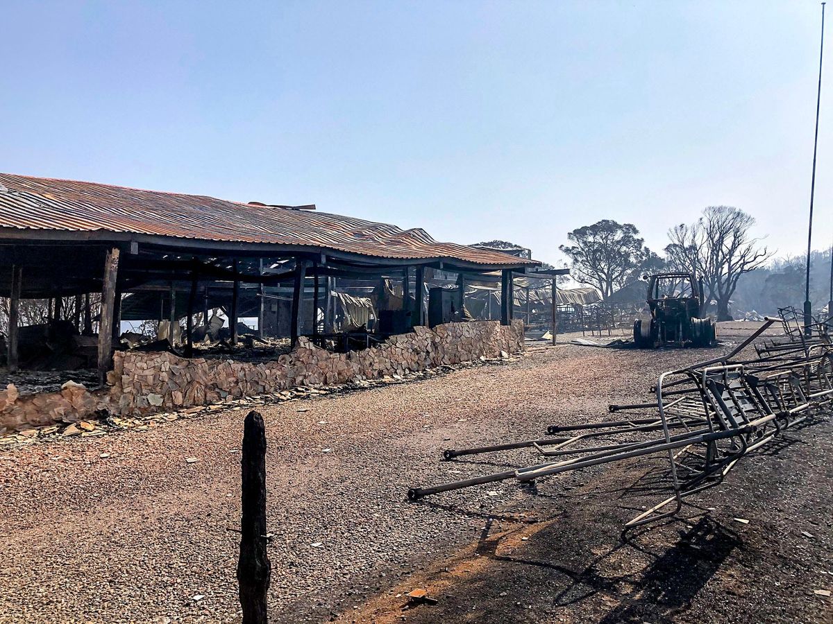 Bushfires Impact Northern Kosciuszko Post feature image