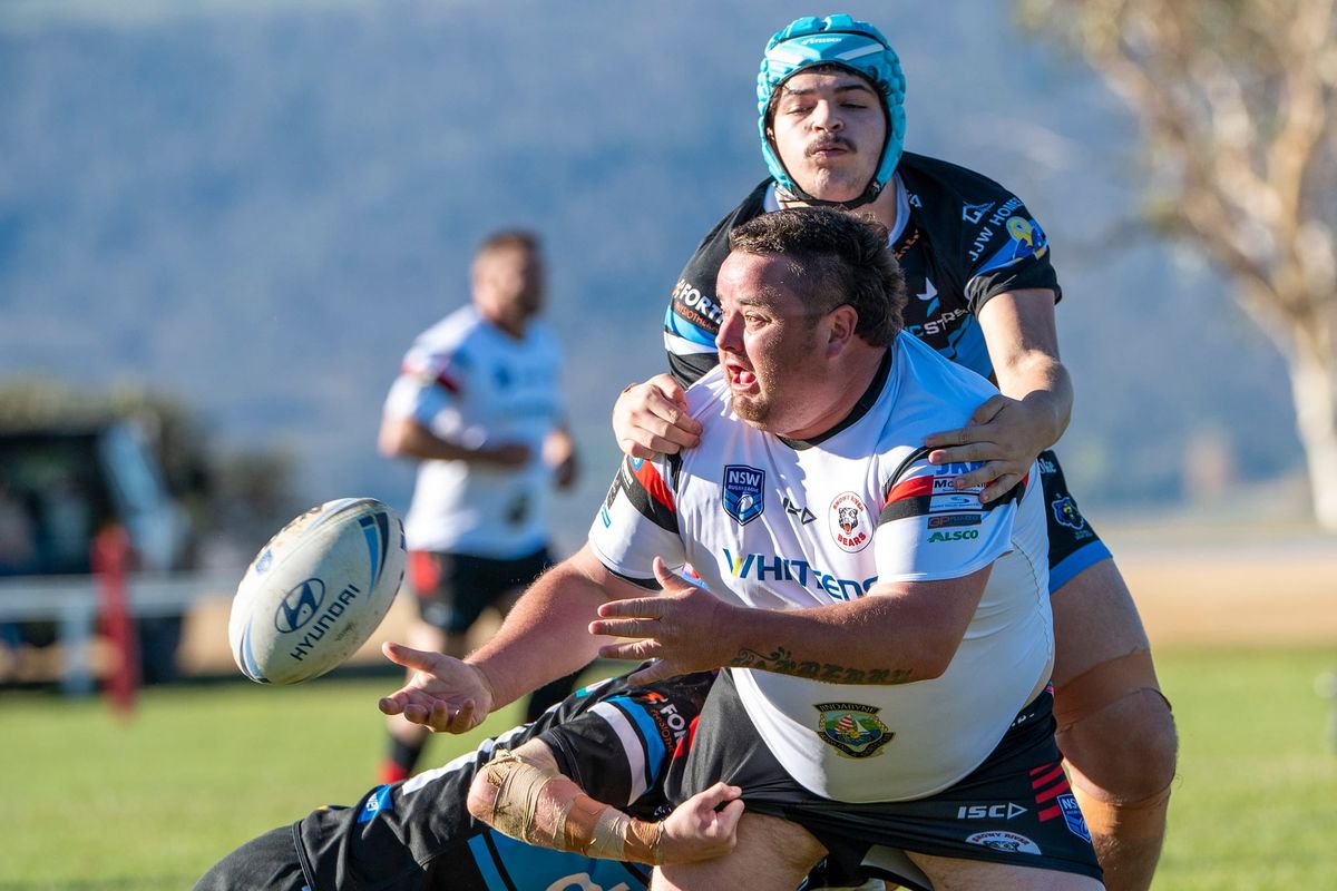 Bears roar for first home wins of the season Post feature image