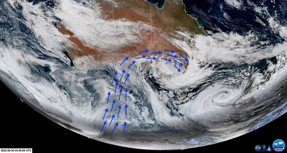 Polar Blast Delivers With Snow Post feature image