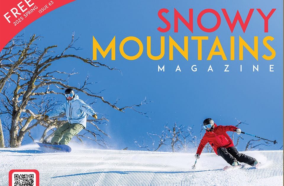 Publications Post feature image