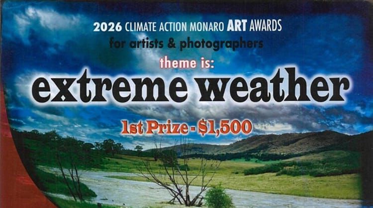Raglan Gallery Cooma - Climate Action Monaro Art Awards Post feature image
