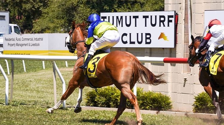 Tumut Races - Tumut Mile Post feature image