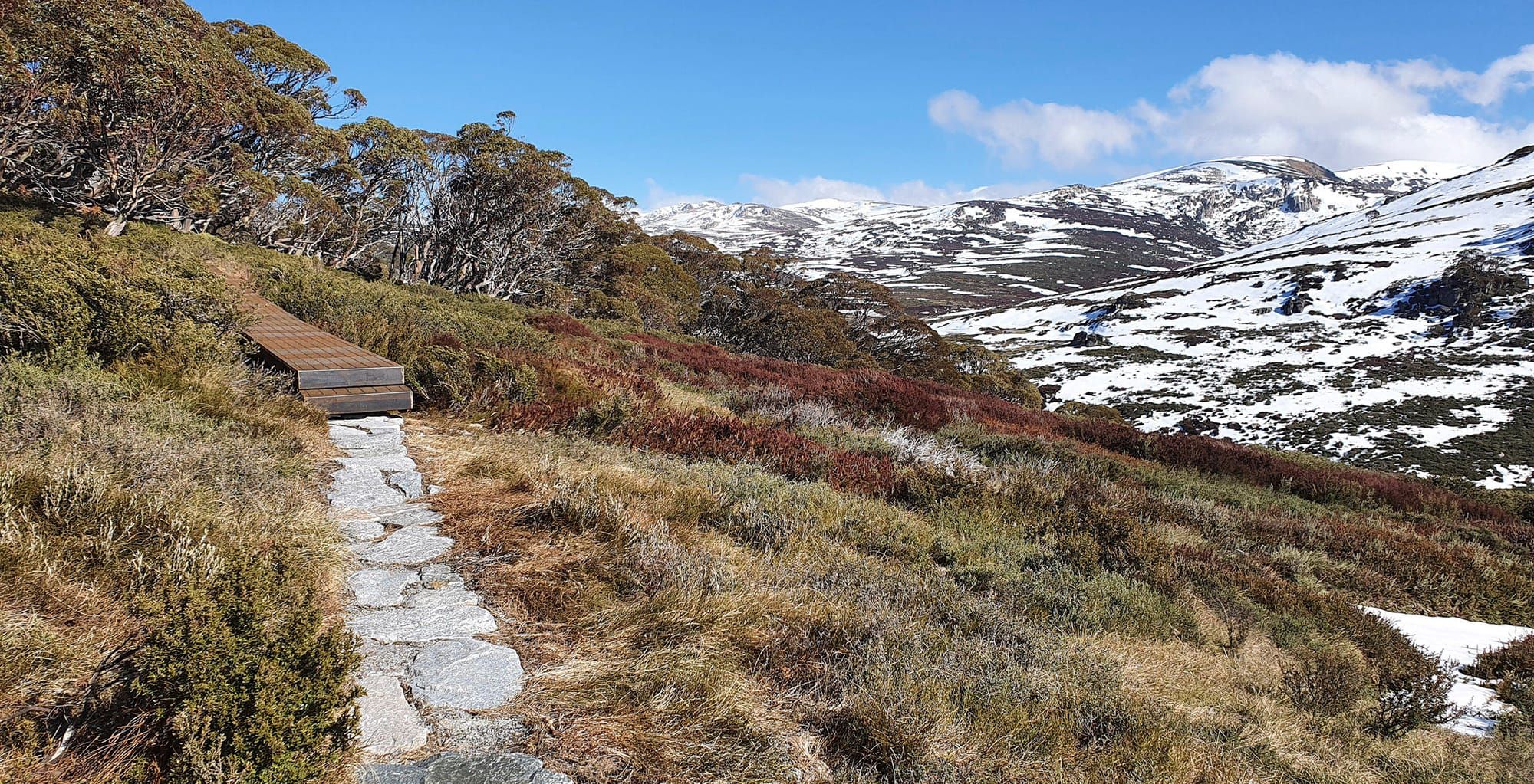 Snowies Iconic Walk Update Post image