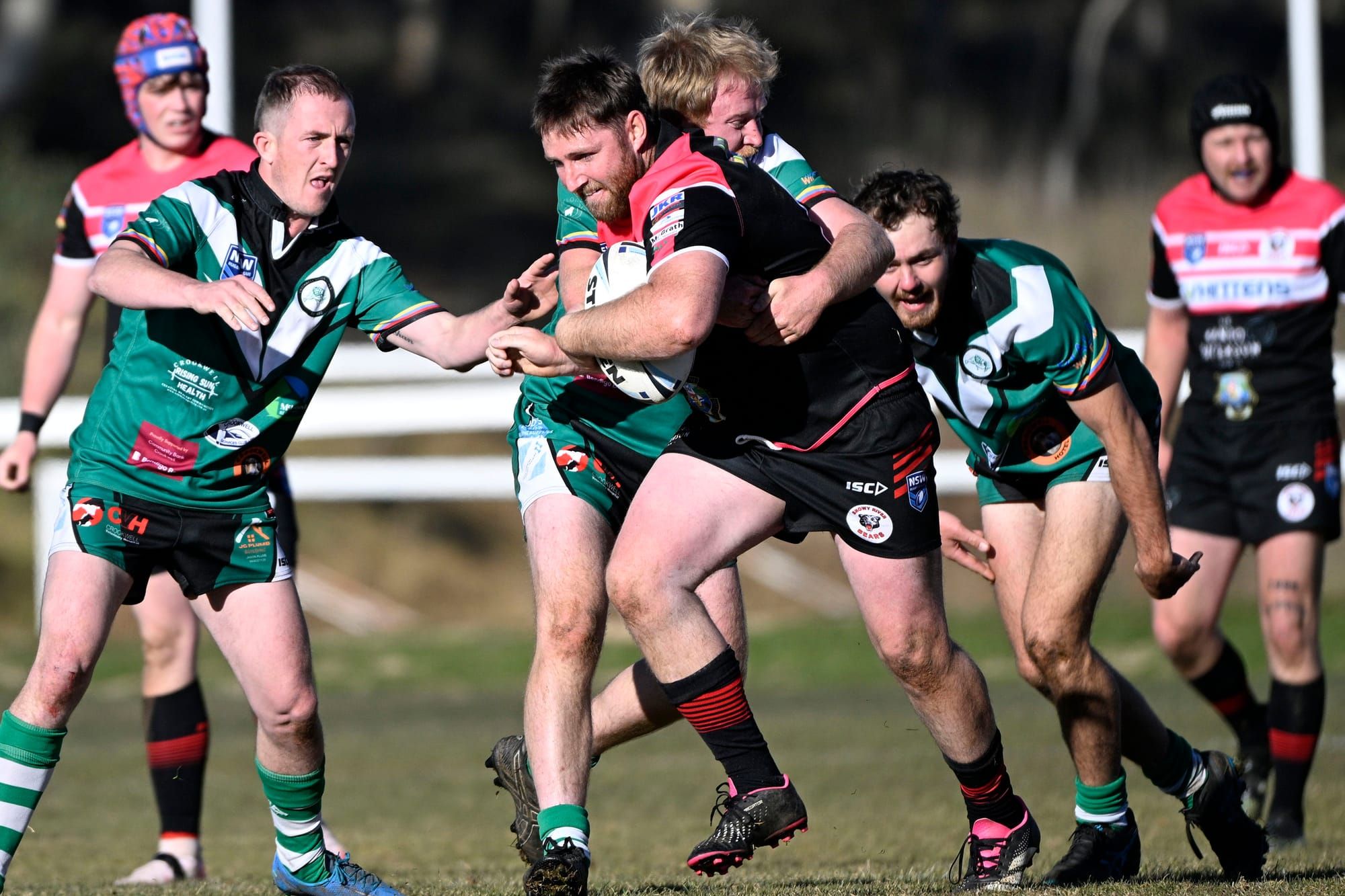 Bears succumb to Devils' pressure Post image